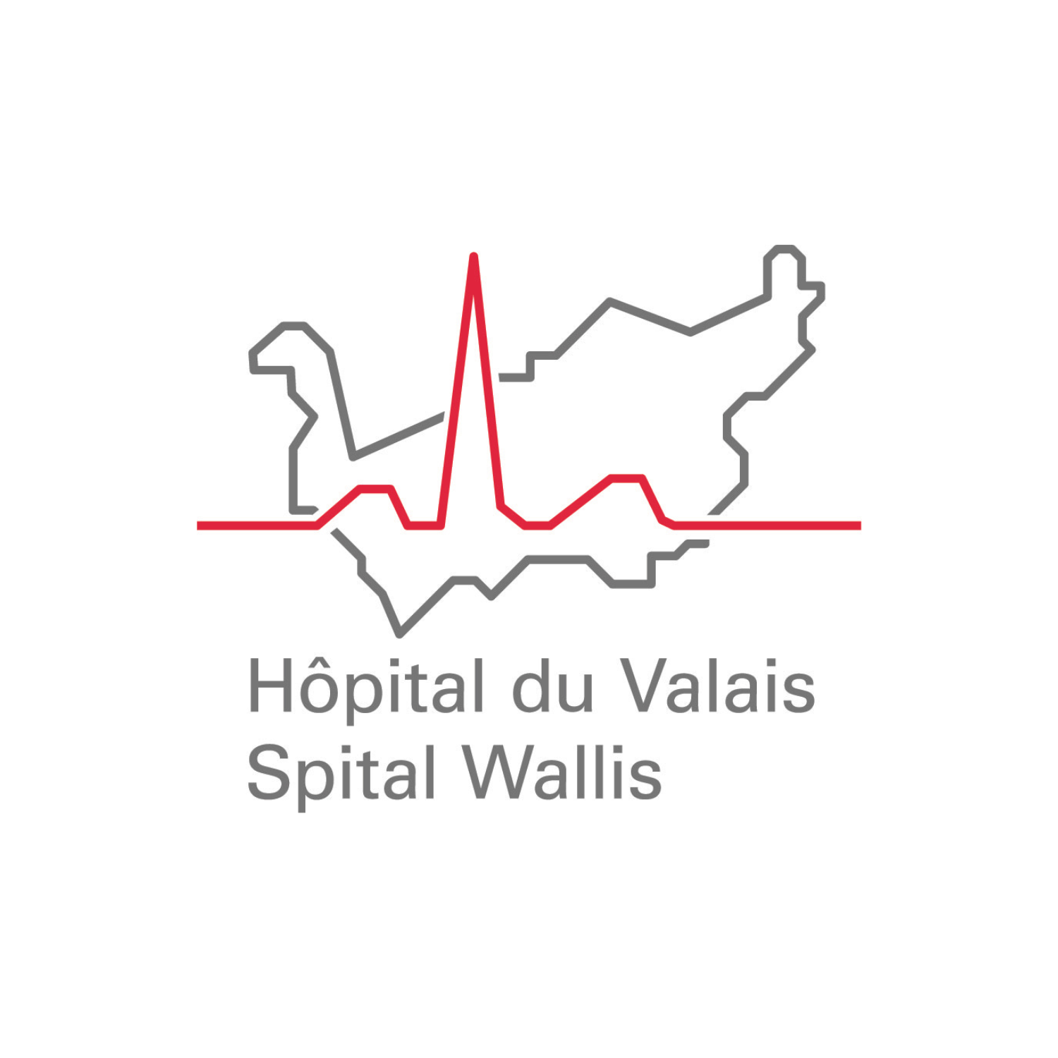Logo Hôpital du Valais