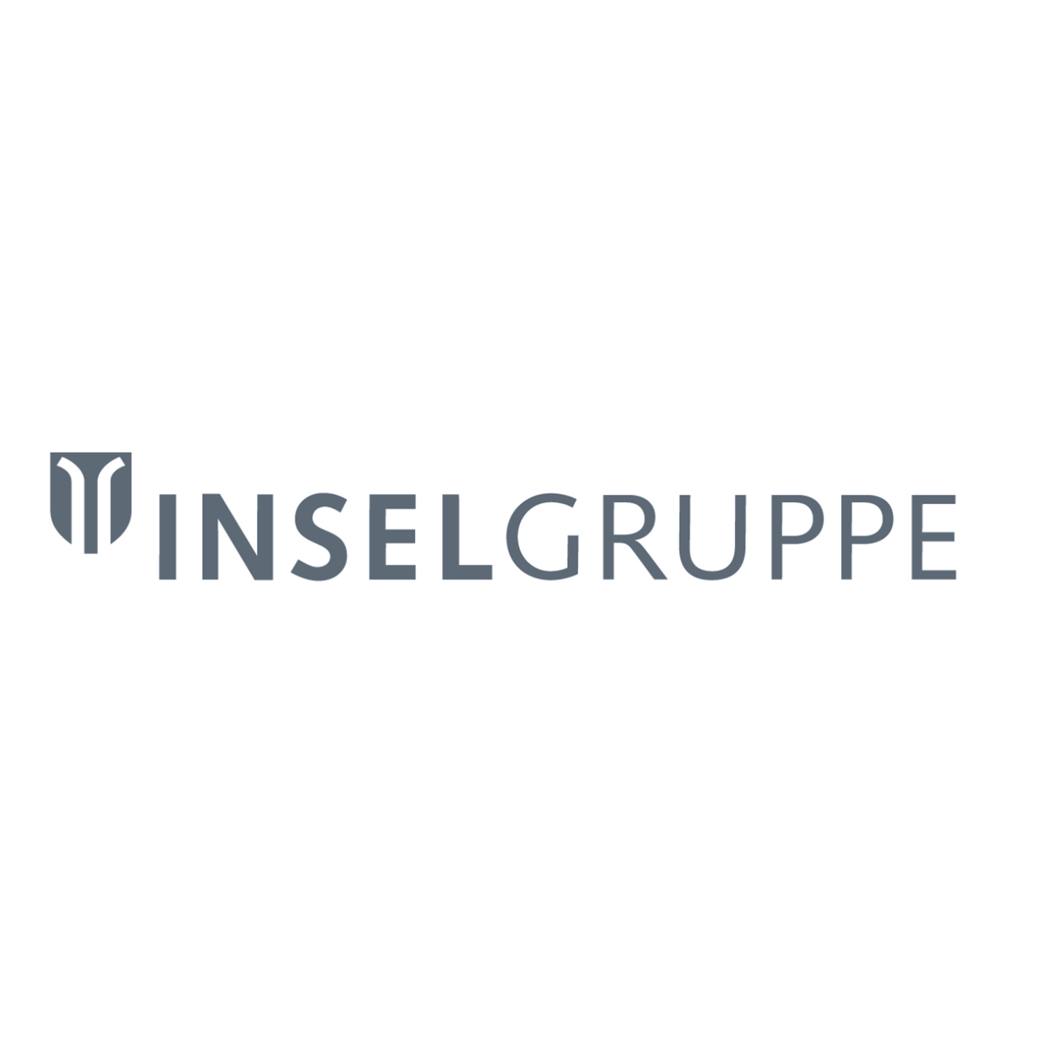 Logo Insel Gruppe